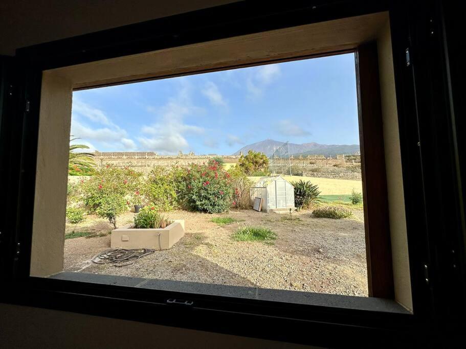 Peaceful Oasis With Magical Sea Views And A Pool Villa Santa Cruz de Tenerife Exteriör bild