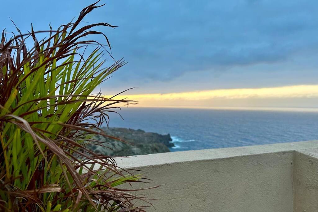 Peaceful Oasis With Magical Sea Views And A Pool Villa Santa Cruz de Tenerife Exteriör bild