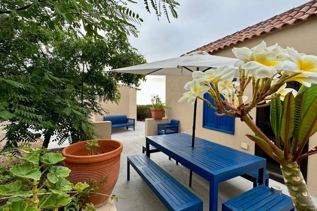 Peaceful Oasis With Magical Sea Views And A Pool Villa Santa Cruz de Tenerife Exteriör bild