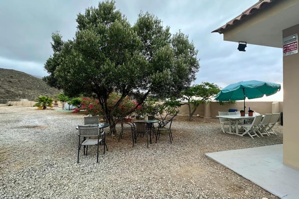 Peaceful Oasis With Magical Sea Views And A Pool Villa Santa Cruz de Tenerife Exteriör bild