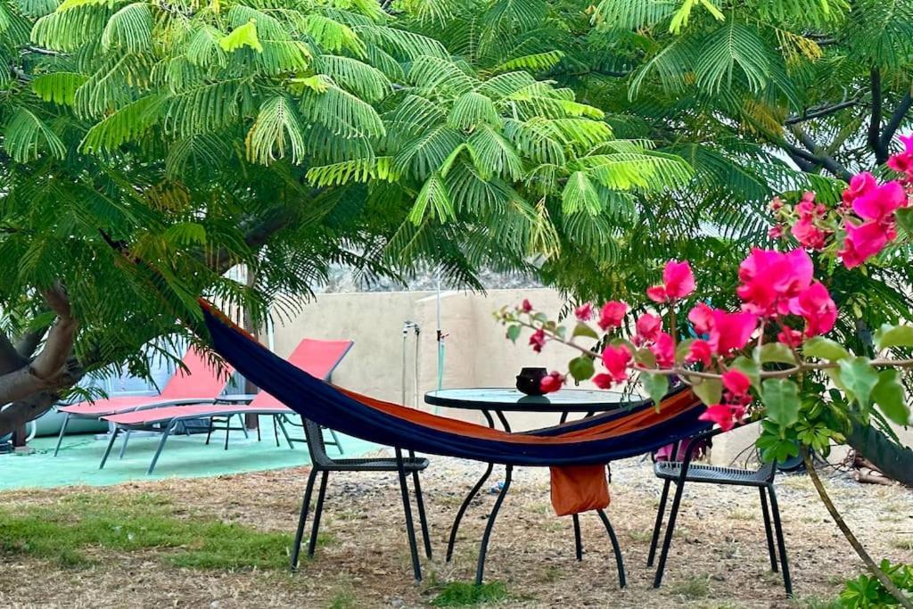 Peaceful Oasis With Magical Sea Views And A Pool Villa Santa Cruz de Tenerife Exteriör bild